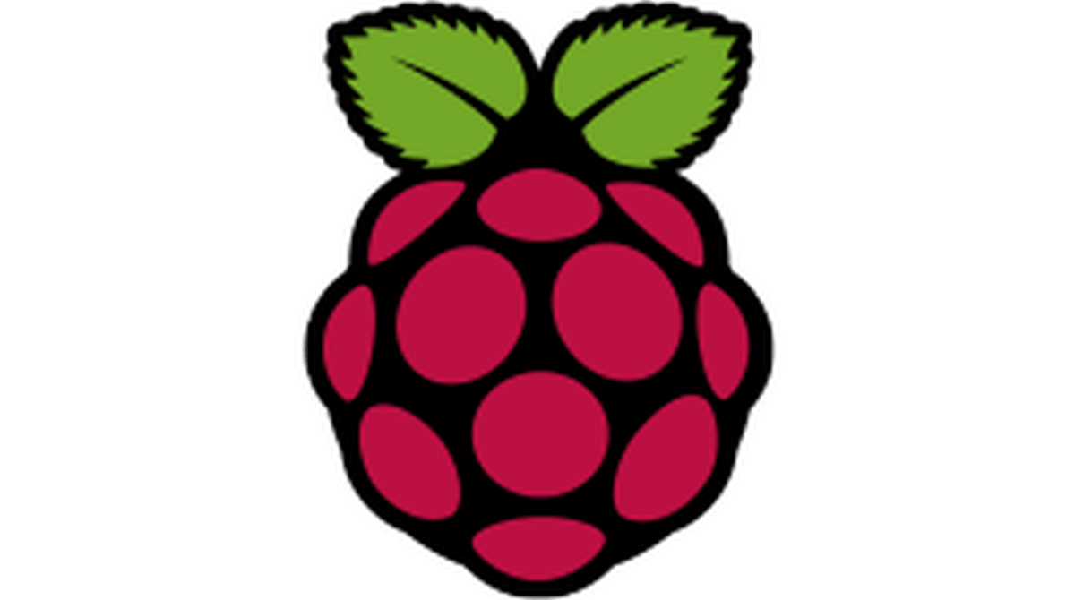 logo do raspberry